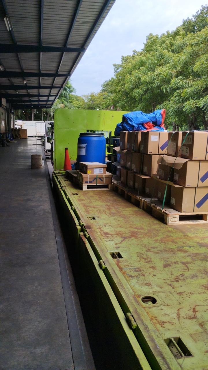 Jasa Impor Ikan Salmon