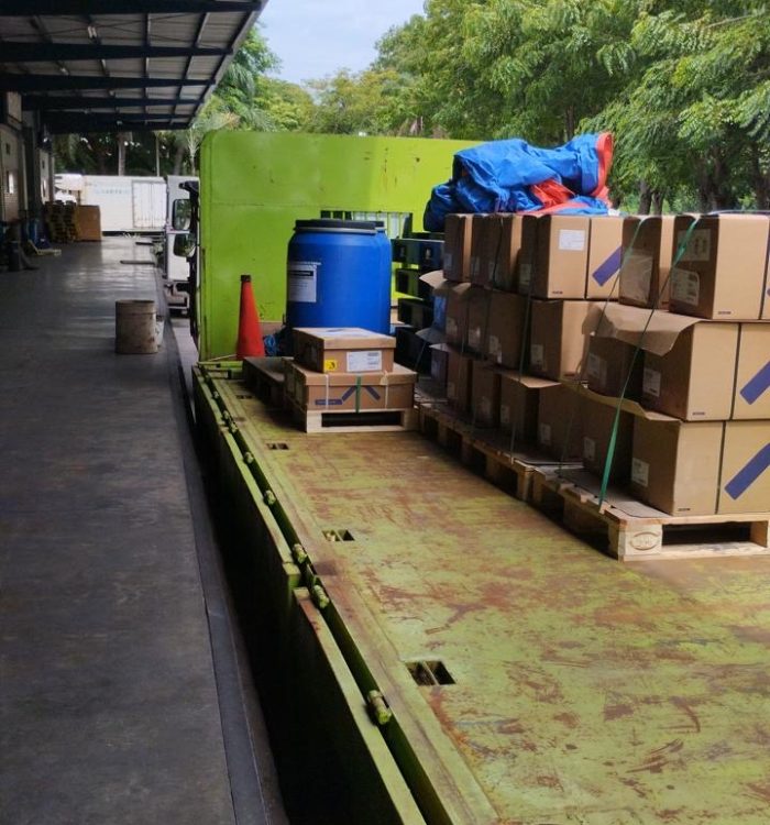 Jasa Impor Ikan Salmon