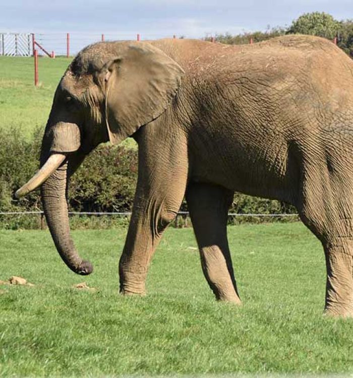 Summer in New Zealand